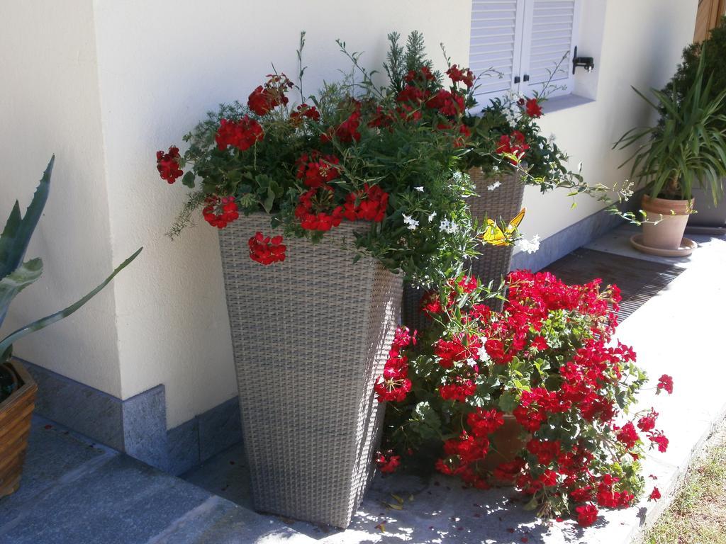 Garni Hattlerhof B&B بَرونيكو المظهر الخارجي الصورة